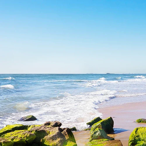 En strand i Queensland i Australien med grönska på stenarna