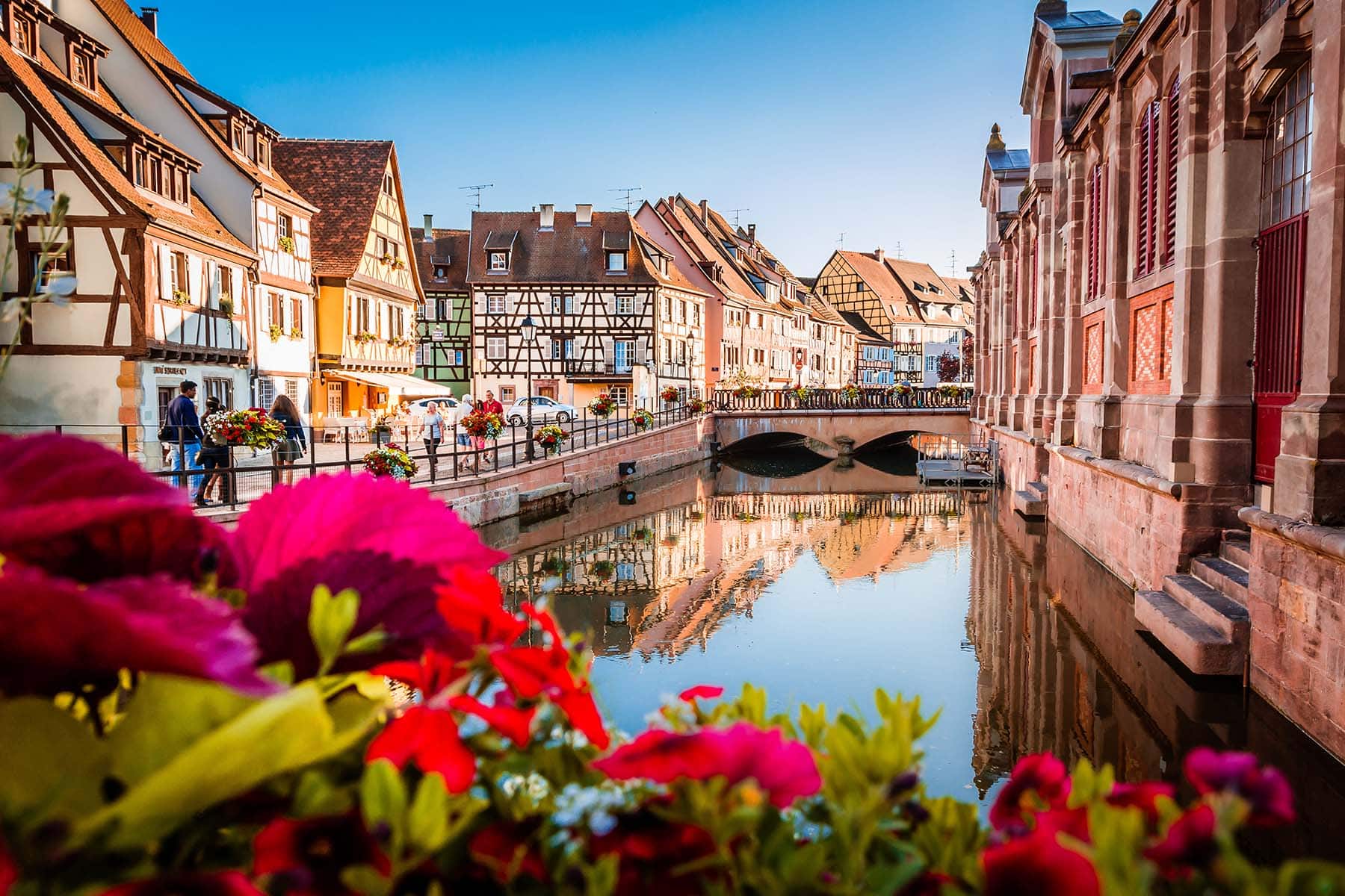 En vacker bild av en kanal i Belgien med rosa och röda blommor i närbild