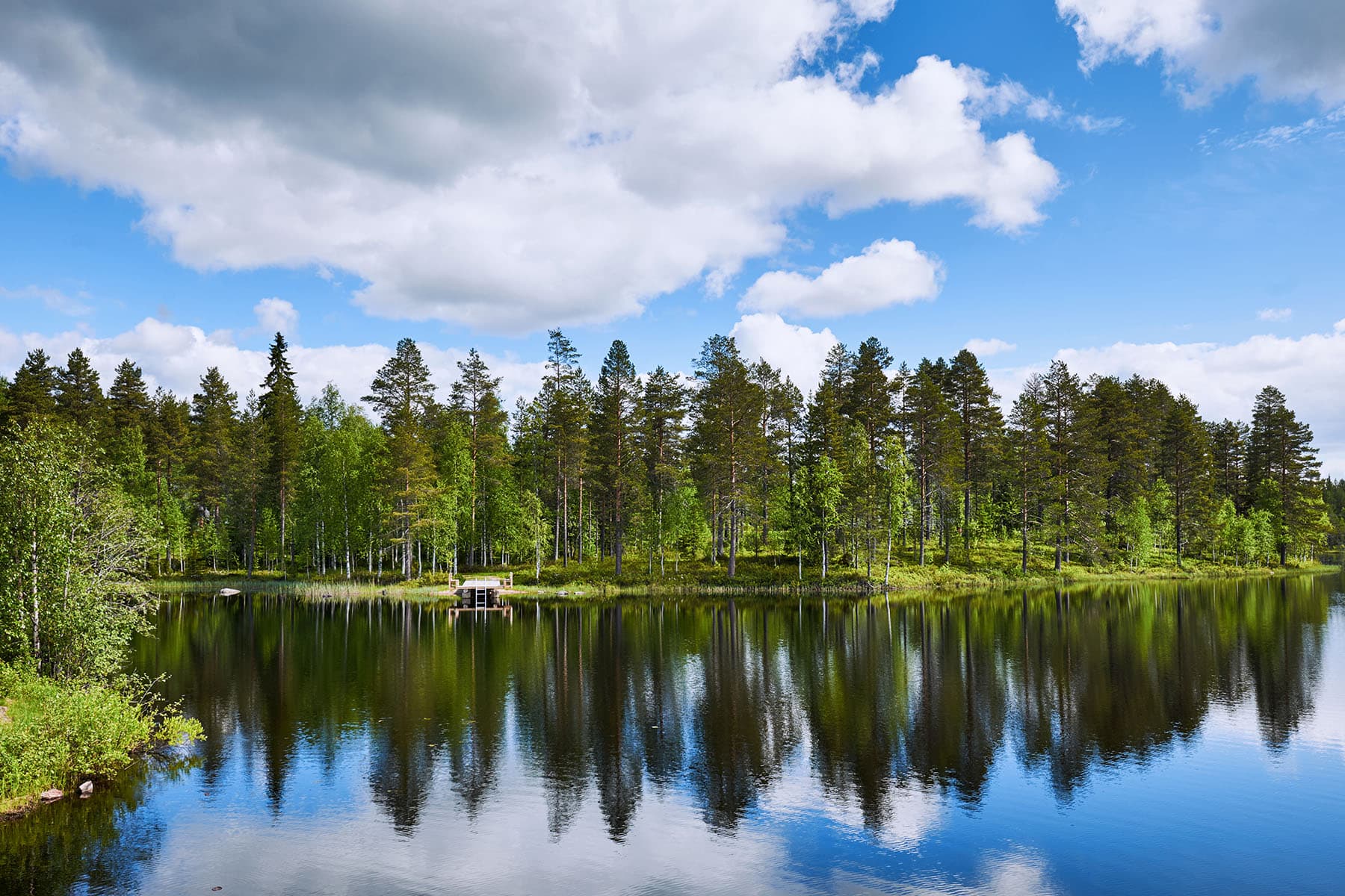 en vacker insjö i Finland omgiven av skog