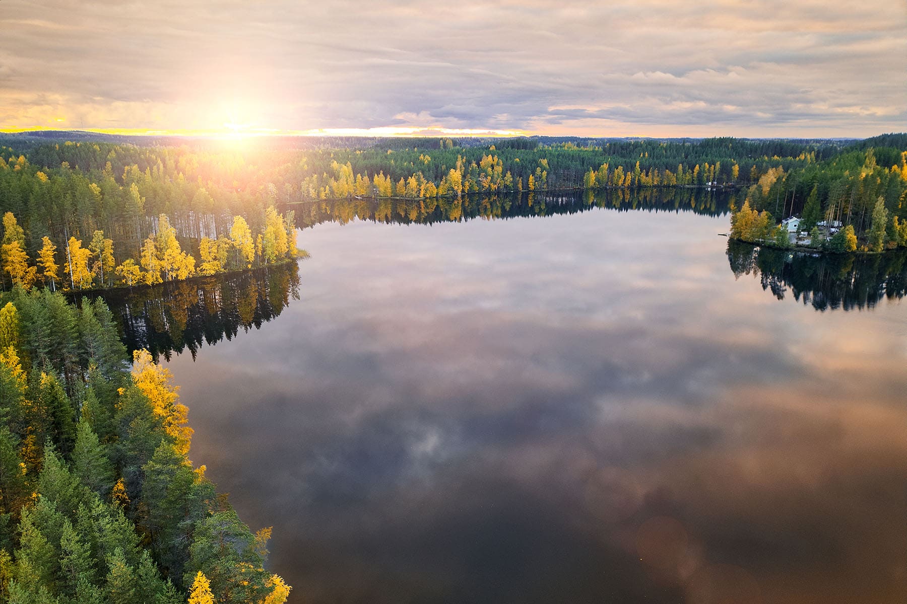 en stor insjö i Finland med skog om kring