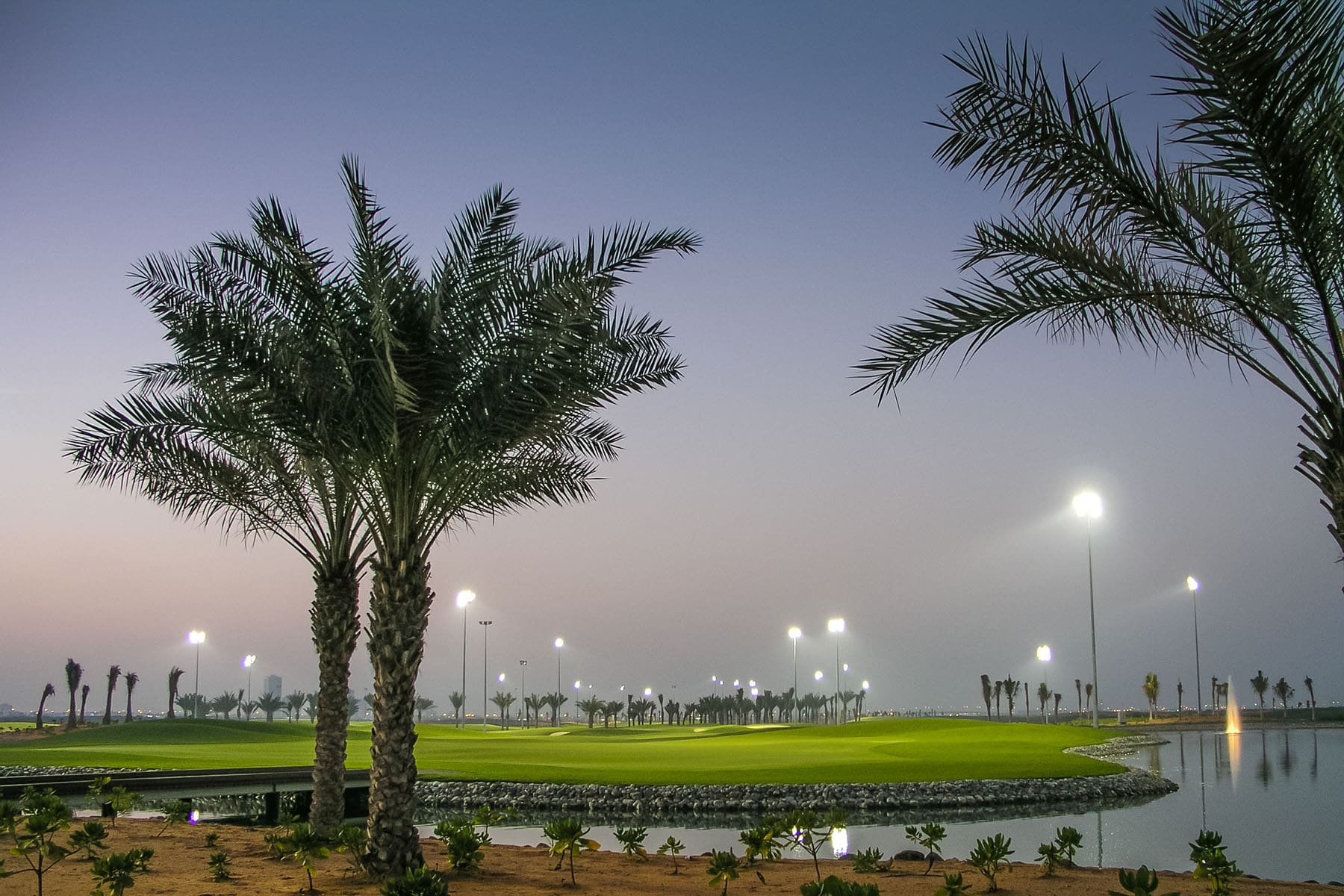 EN golfbana på kvällen i Abu Dhabi i Förenade Arab Emiraten