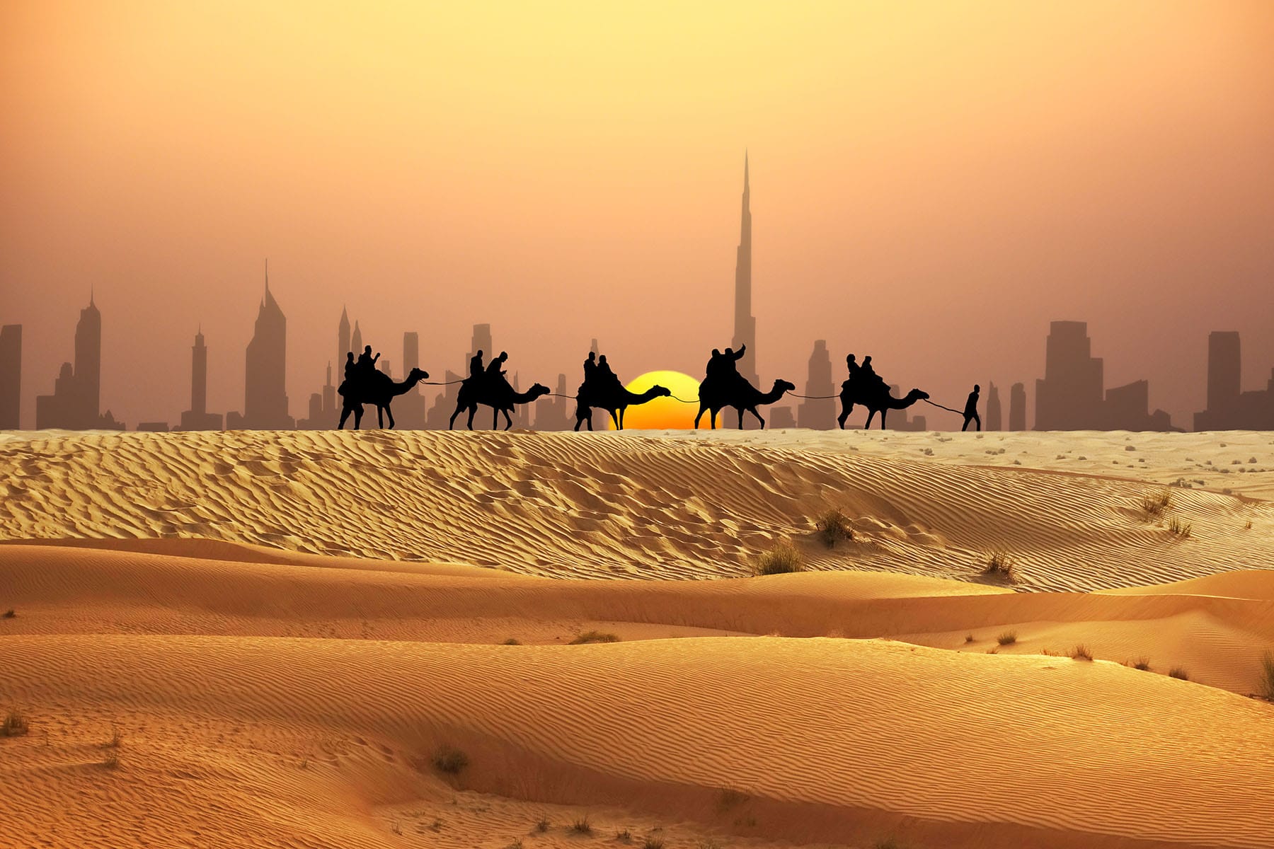 män rider på kameler i öknen med solnedgång i bakgrunden i Dubai