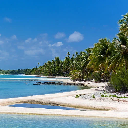 En lagun med hav, vist strand och palmer i kanten på Franska Polynesien