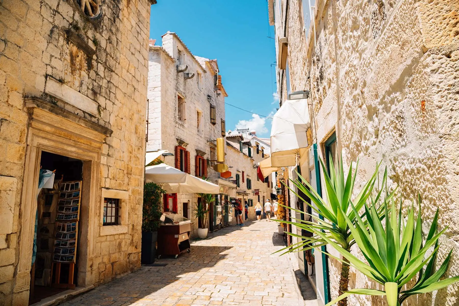 en gata i solen i en stad i Kroatien