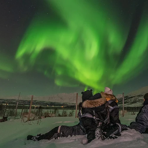 Ett gäng ligger i snön i Lappland och tittar på norrskenet