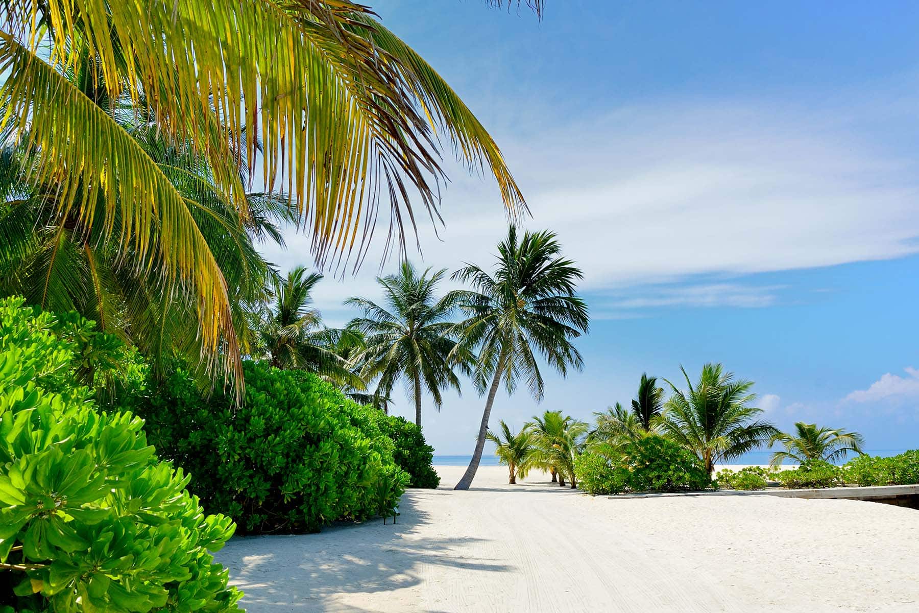 vit strand med palmer på Maldiverna