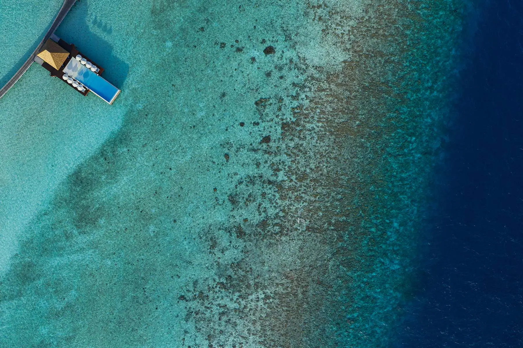 en poolvilla på Maldiverna sätt från ovan med havet runt