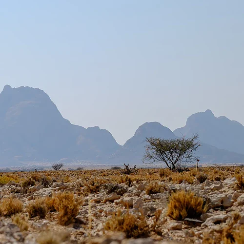 En vit SUV står parkerad i det öppna Namibiska landskapet med berg i bakgrunden, omgiven av torrt gräs och buskar, vilket visar den unika ökenmiljön i Namibia.