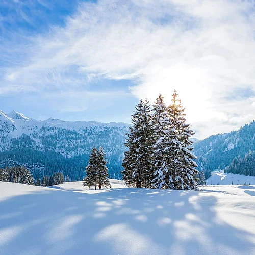 Gnadealm Obertauern snöområden i Österrike