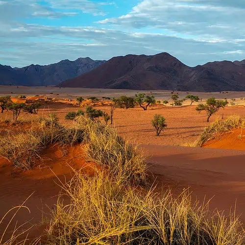 spännande och annorlunda öken i namibia