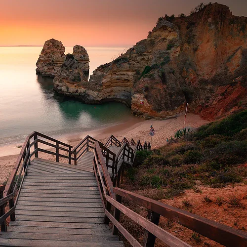 En trappa i träd som tar en ner till en strand i Portugal