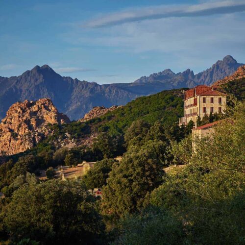 vingård i korsika i frankrike