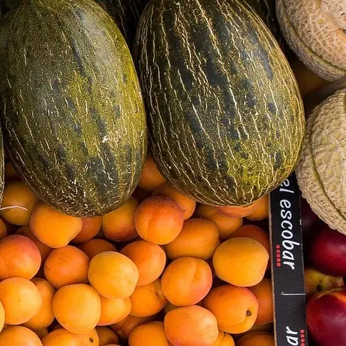 Trips to Madeira in Portugal with Nygren  Lind Travel Agency