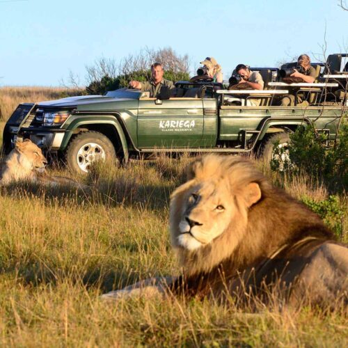 Resor till Kariega Games Reserve i Sydafrika med Nygren & Lind Resebyrå