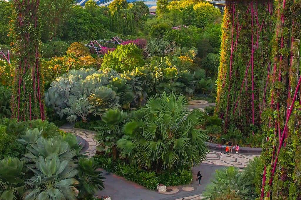 en park i Singapore