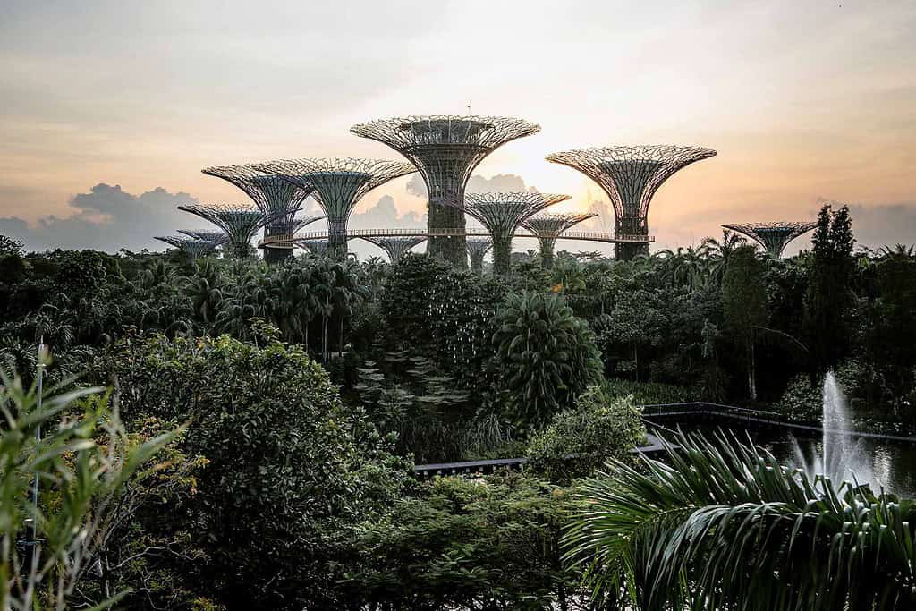 toppen av byggnader i en park i Singapore