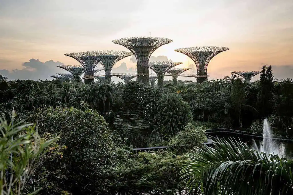 toppen av byggnader i en park i Singapore