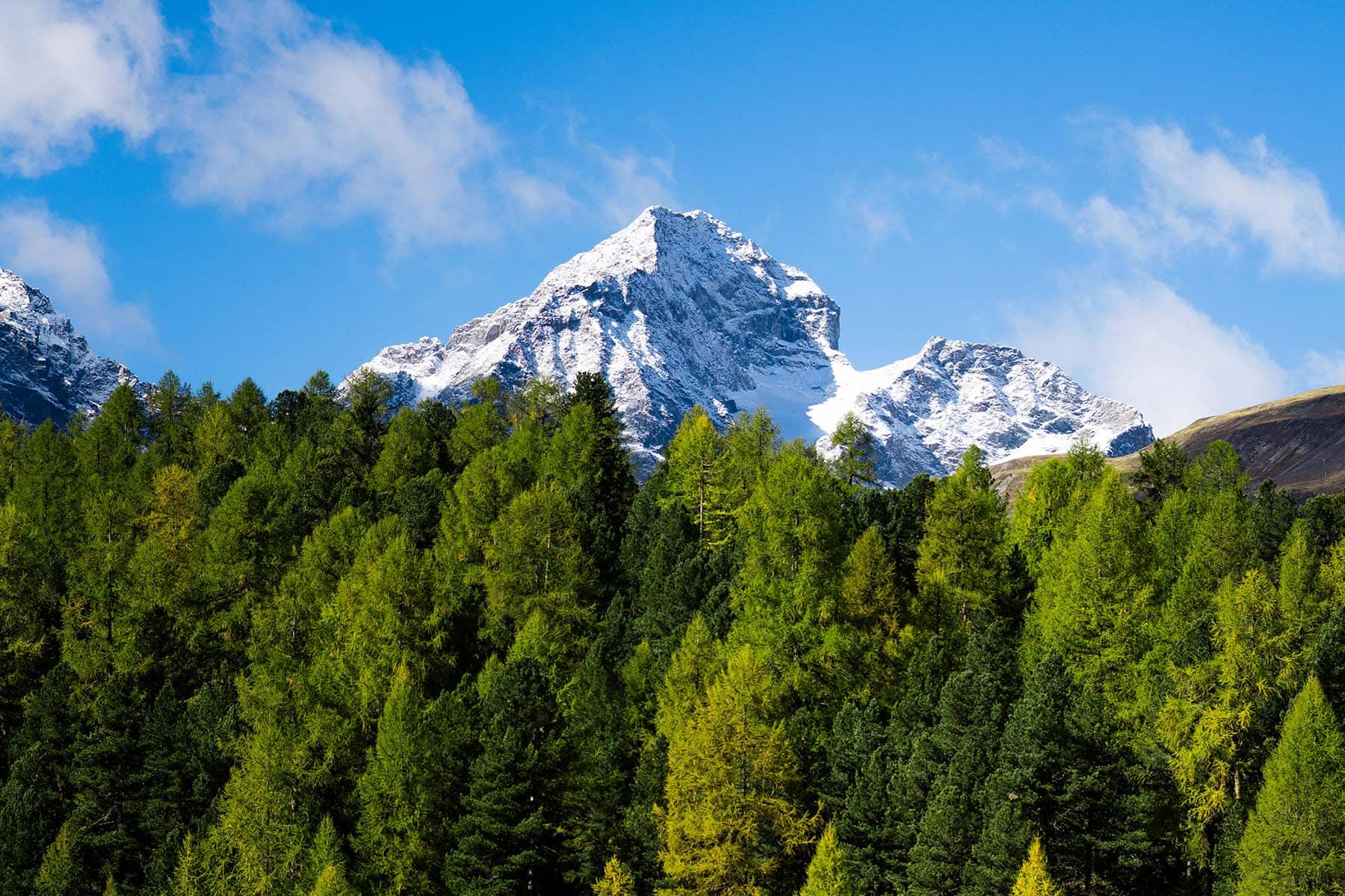 Matterhorn i bakgrunden
