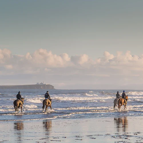 Racer hästar med ryttare på en strand i Northumberland i Storbritannien