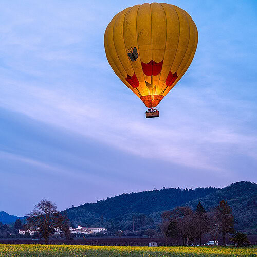 en luftballång svevare över vingårdarna i Napa Valley