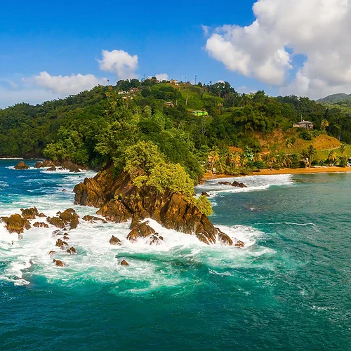 En vik på Barbados i Västindien med grön natur i bakgrunden