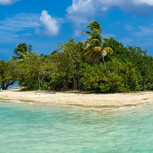 Ön Tobago i Västindien sätt från havet